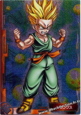 Cartes db, dbz, dbgt H400_1681_carte