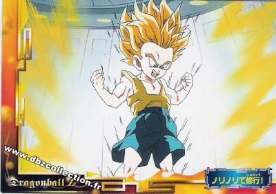 Cartes db, dbz, dbgt H400_1691_carte