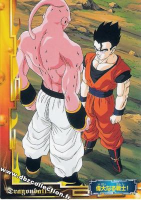 Cartes db, dbz, dbgt H400_1695_carte