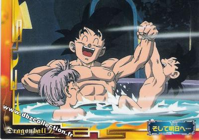 Cartes db, dbz, dbgt H400_1701_carte