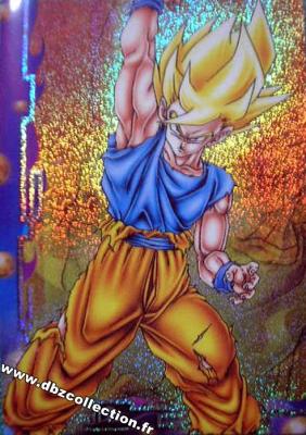 Cartes db, dbz, dbgt H400_1733_carte