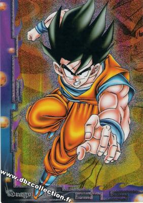 Cartes db, dbz, dbgt H400_1734_carte