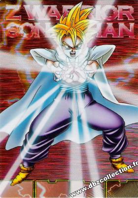 Cartes db, dbz, dbgt H400_1851_carte