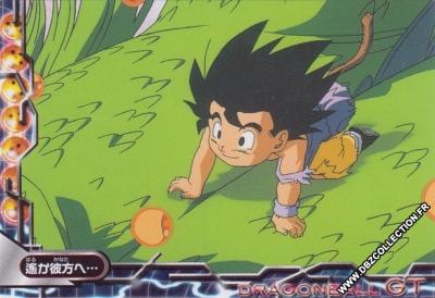 Cartes db, dbz, dbgt H400_32194_carte