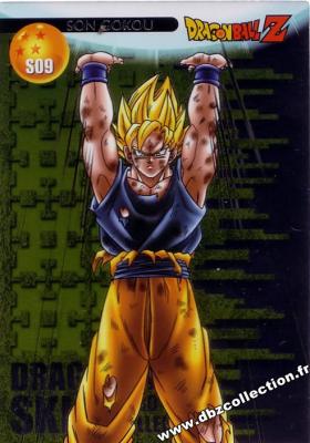 Cartes db, dbz, dbgt H400_9046_carte