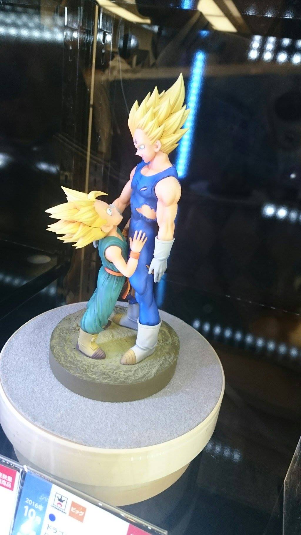 [Banpresto] Dragon Ball Z Dramatic Showcase: Majin Vegeta e Trunks 13305234_1122349721150023_7477641445257275734_o