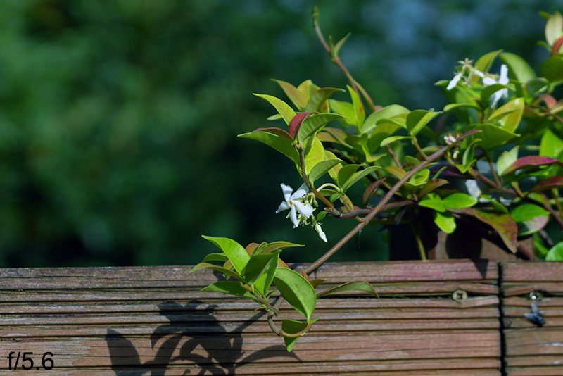 test d' un objectif d' agrandisseur PZO 105mm f 4,5 - Page 2 PZO-08