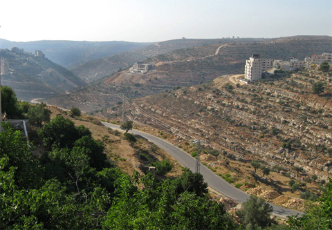 My Trip to Palestine Summer 2007 Wadi_1_crop_thmb