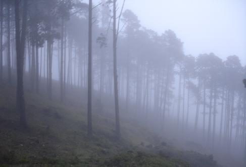 yondaime vs sasori (amistosa) Niebla