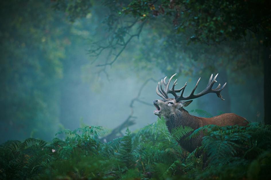 22 sublimes photographies de notre planète dévoilées par le magazine National Geographic ! Par Marine B.              _DSC3666.adapt.945.1