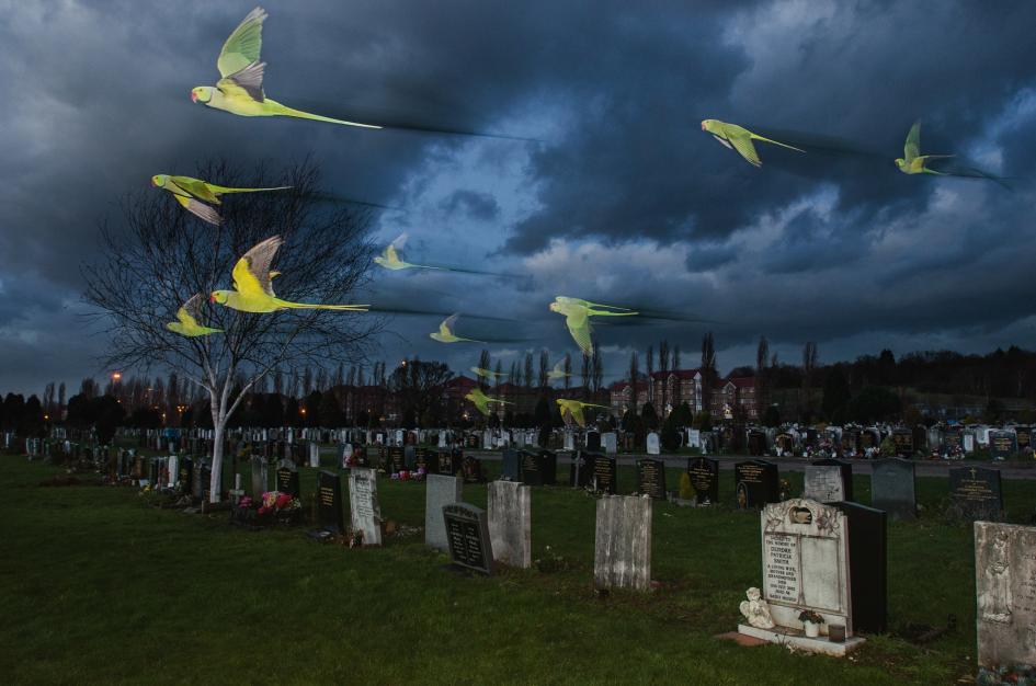 22 sublimes photographies de notre planète dévoilées par le magazine National Geographic ! Par Marine B.              _DSC9298_ORIGINAL.adapt.945.1