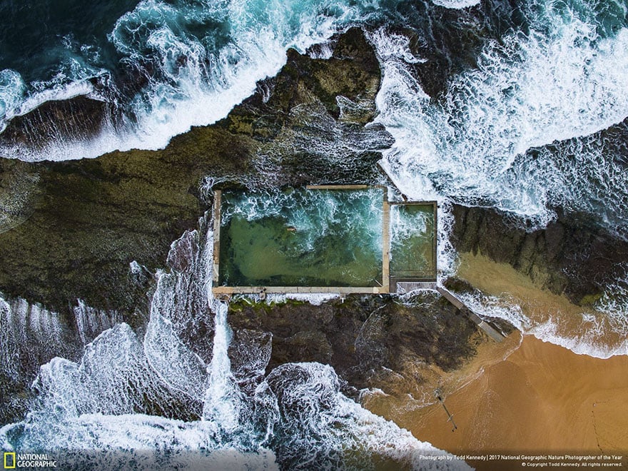 Les 24 plus belles photos récompensées lors du concours National Geographic ! Par Pauline M.                      National-geographic-nature-photographer-of-the-year-2017-winners-11-5a3233b9ccdcc__880