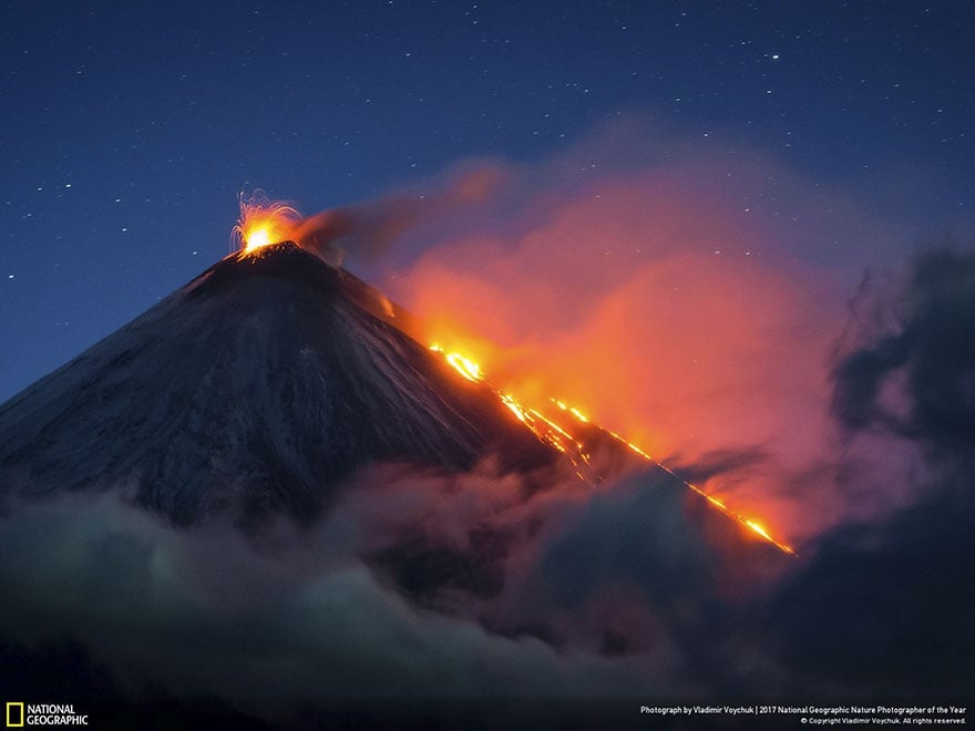 Les 24 plus belles photos récompensées lors du concours National Geographic ! Par Pauline M.                      National-geographic-nature-photographer-of-the-year-2017-winners-22-5a3233d2712f9__880