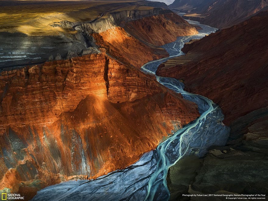 Les 24 plus belles photos récompensées lors du concours National Geographic ! Par Pauline M.                      National-geographic-nature-photographer-of-the-year-2017-winners-7-5a3233b1a80f2__880