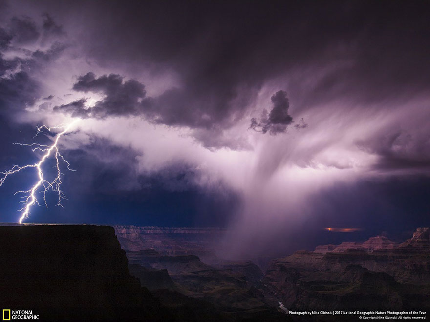 Les 24 plus belles photos récompensées lors du concours National Geographic ! Par Pauline M.                      National-geographic-nature-photographer-of-the-year-2017-winners-8-5a3233b377d9c__880