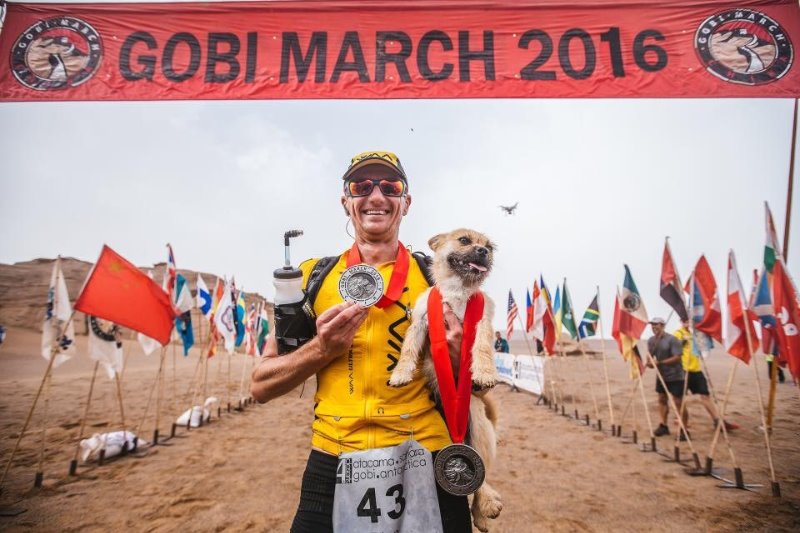 Un chien errant rejoint un marathonien, court 100km à ses côtés, et devient son animal de compagnie ! Arriv%C3%A9e