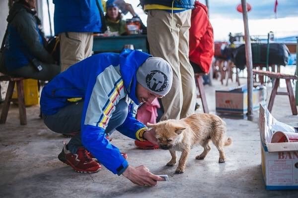 Un chien errant rejoint un marathonien, court 100km à ses côtés, et devient son animal de compagnie ! Camp%20enseble