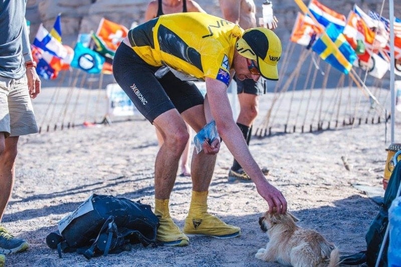Un chien errant rejoint un marathonien, court 100km à ses côtés, et devient son animal de compagnie ! Caresse7