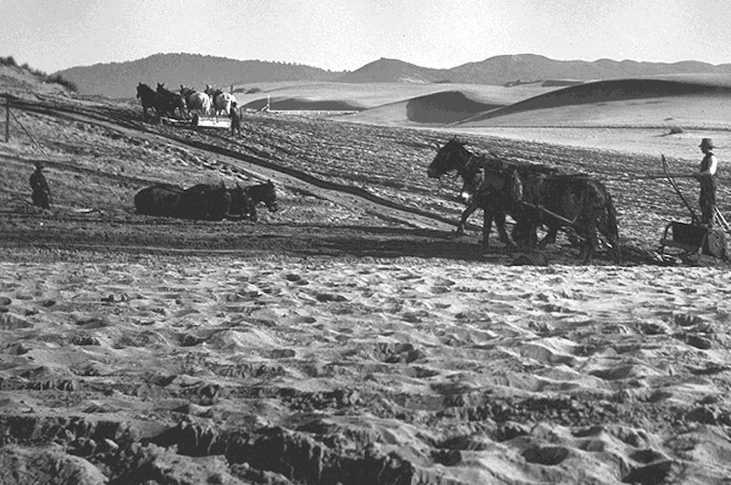 Découvrez les superbes images d'archives de la ville de San Francisco avant qu'elle ne devienne la cité qu'on connaît ! Par Clément P.                                          Found%20San%20Francisco