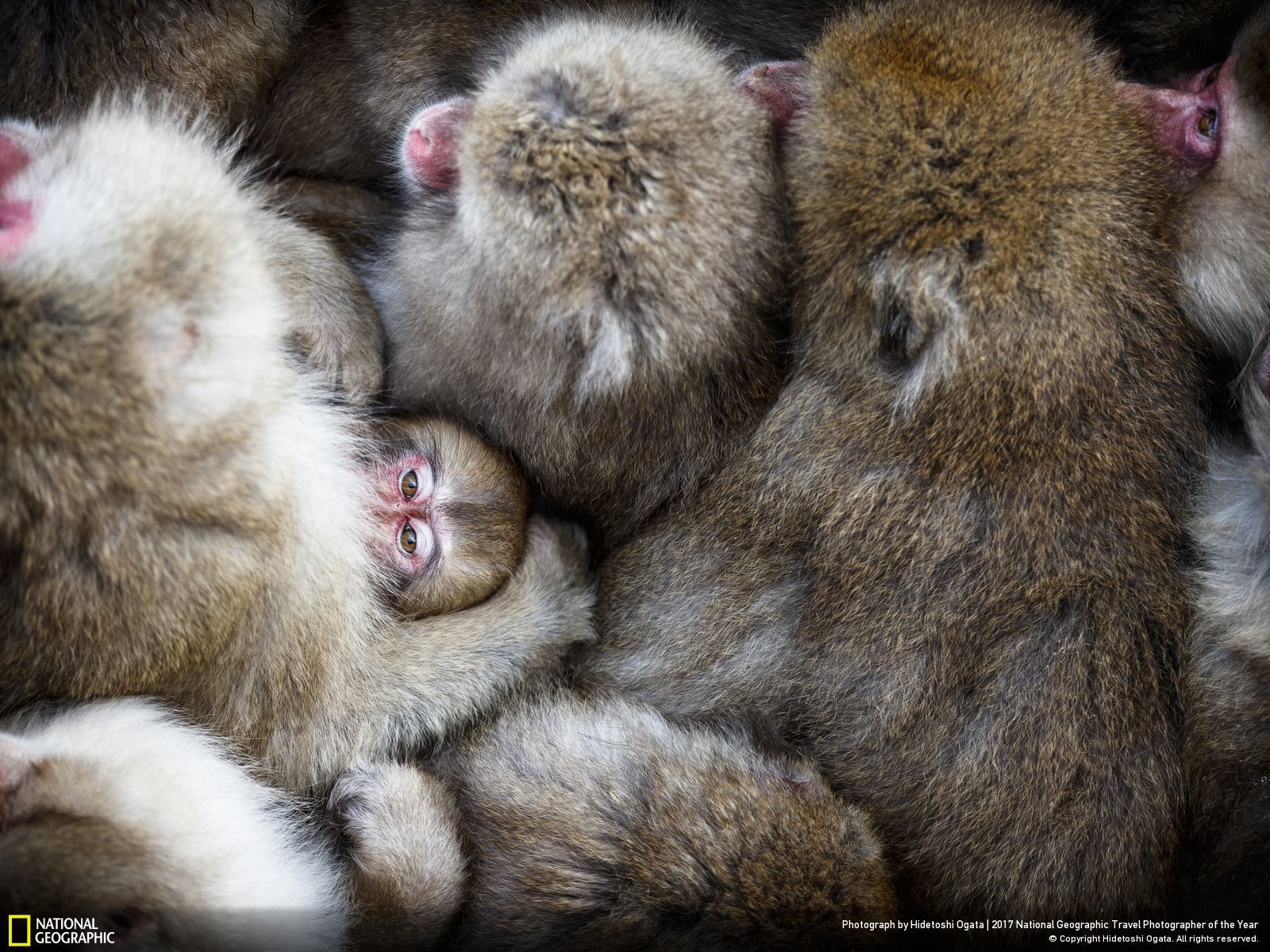 25 photographies récompensées au prestigieux « 2017 National Geographic Travel Photographer of the Year » ! Par Clément P.                          10090210_1600x1200