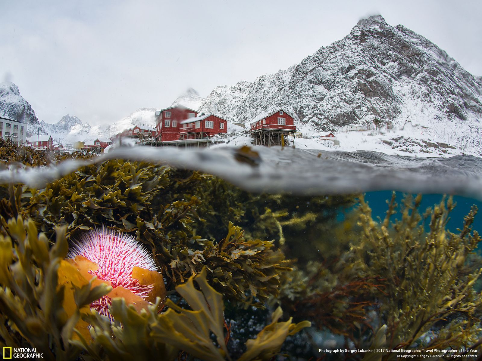 25 photographies récompensées au prestigieux « 2017 National Geographic Travel Photographer of the Year » ! Par Clément P.                          9850182_1600x1200