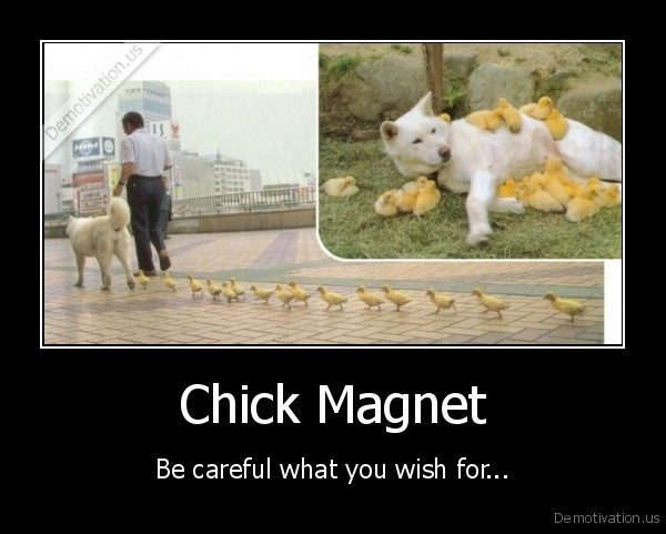 Gotta love them..  Demotivation.us_Chick-Magnet-Be-careful-what-you-wish-for_130316553659