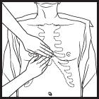 طرق إنعاش القلب والتعامل مع الغصه بالصور Handposition