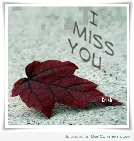 I Miss You 256009