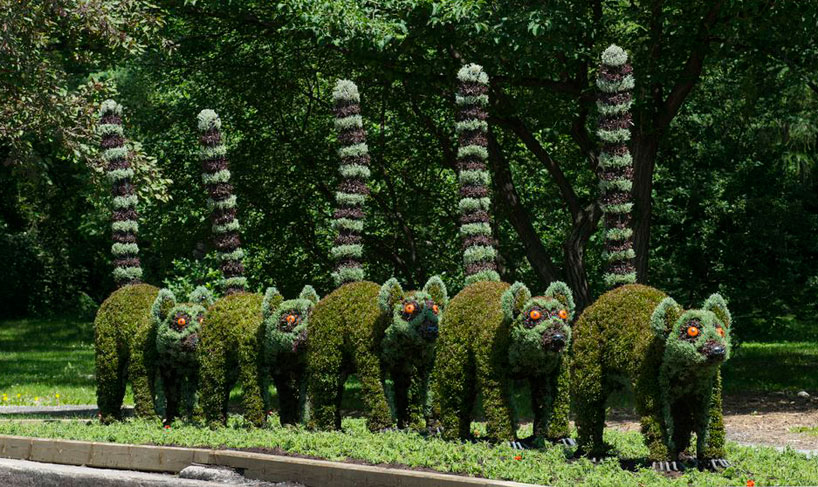 تماثيل مذهلة من النباتات والزهور في كندا - Incredibly sculptures plants Massive-hordicultural-sculptures-in-montreal-designboom-15