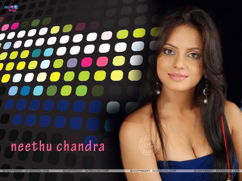 Neetu Chandra Hot Wallpaper Desigujju800__231109075407neethu%20chandra%201%20copy-qpr