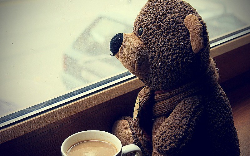 My teddy bear - Page 13 Coffee-stuffed-animals-bears-scarf-teddy-bears-brown-bears-1600x1200-wallpaper-500580