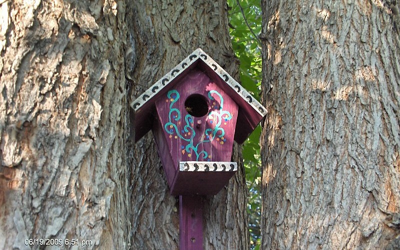 Kućice za ptice - Page 7 Bird-house-background-76269