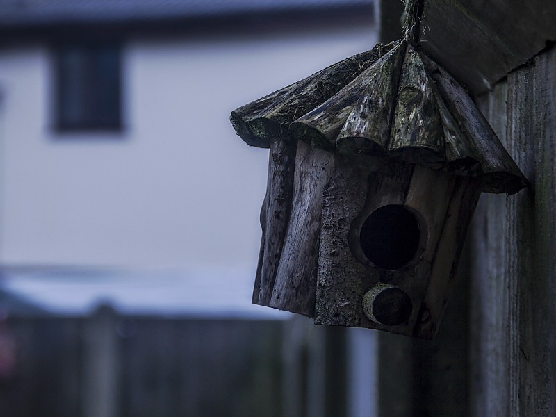 Kućice za ptice - Page 7 Bird-house-hd-wallpaper-8332