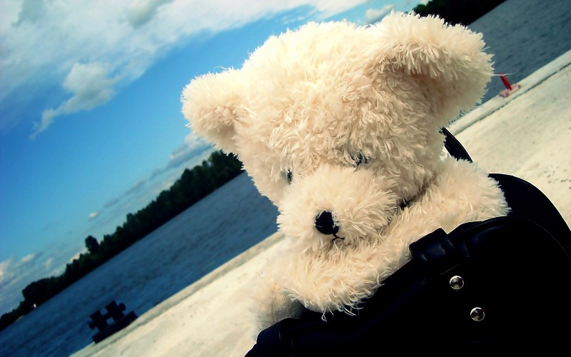 My teddy bear Stuffed-animal-pics-340121