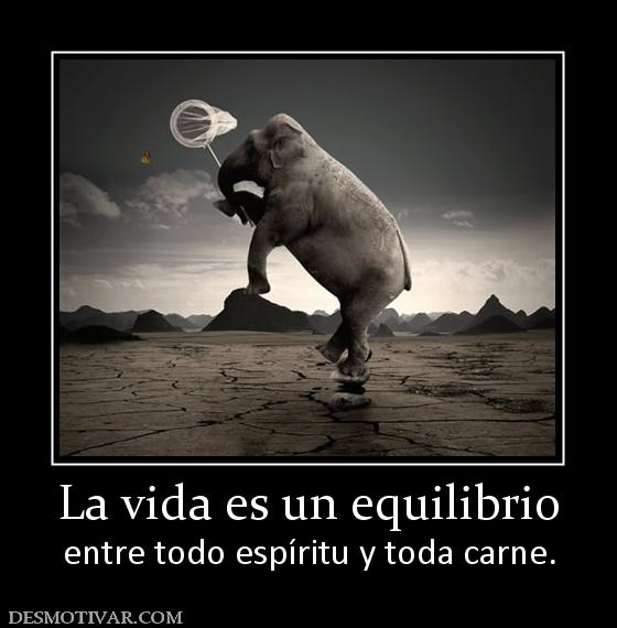 ...EQUILIBRIO... - Página 25 14232_la_vida_es_un_equilibrio