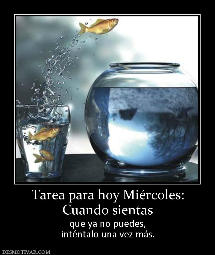  CITAS CELEBRES, DESMOTIVACIONES...... - Página 25 161769_tarea-para-hoy-miercoles-cuando-sientas