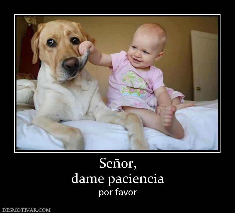  CITAS CELEBRES, DESMOTIVACIONES...... - Página 6 165271_senor-dame-paciencia