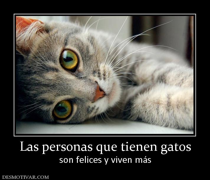 Bienvenidos al nuevo foro de apoyo a Noe #167 / 29.09.14 ~ 01.10.14 36576_las_personas_que_tienen_gatos