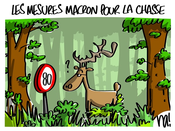 Insolite sur la route 2329_r%C3%A9formes_permis_de_chasse