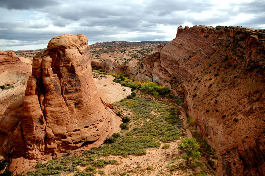 Desert Plains