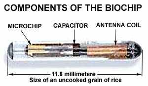   RFID  (        :) ) Microchip