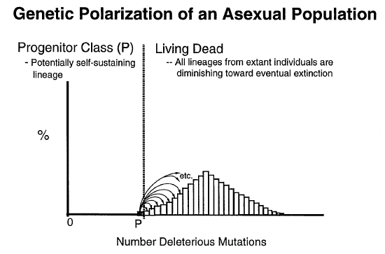 Mutation rates Dna_mu6