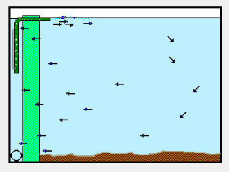 Filtration biologique... Mat05