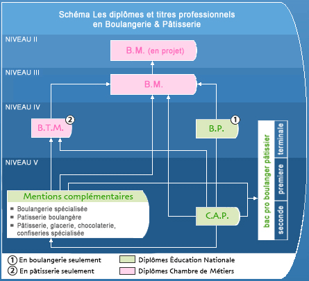 Les diplomes en boulangerie patisserie Schema