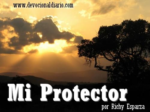 Mi Protector Mi-protector