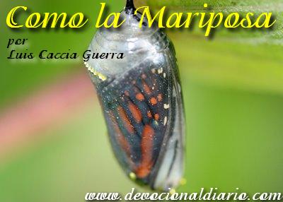 Como la mariposa Como-la-mariposa