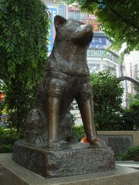 HACHIKO- o istorioara adevarata Hachiko-Statue-Shibuya