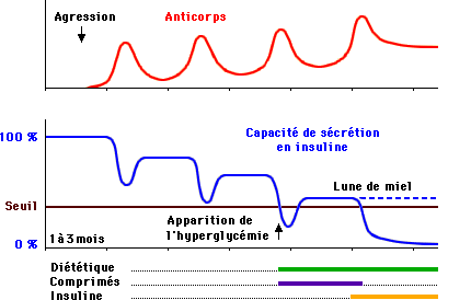 chronologie des événements à l'origine des perturbations de la glycémie HND1