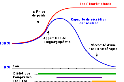 chronologie des événements à l'origine des perturbations de la glycémie HND2