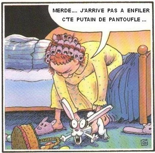 Humour en images - Page 8 Img24